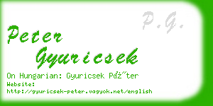 peter gyuricsek business card